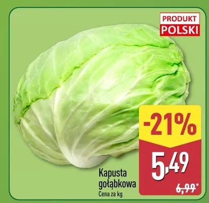 Kapusta gołąbkowa promocja w Aldi