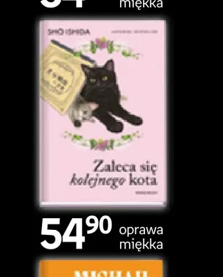 Książka Zaleca się kolejnego kota Sho Shida promocja w Empik