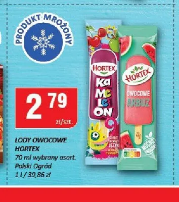 Lody owocowe Hortex Kameleon Polski Ogród promocja w Chorten