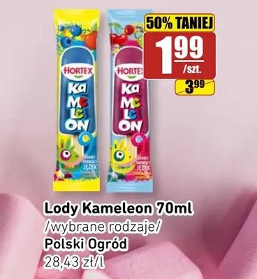 Lody Kameleon Hortex Język różowy promocja w API Market