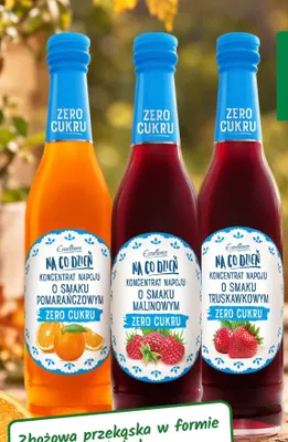 Koncentrat napoju bez cukru o smaku malinowym Excellence promocja w Intermarche