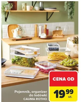 Pojemnik, organizer do lodówki CAUMA ROTHO promocja w Carrefour