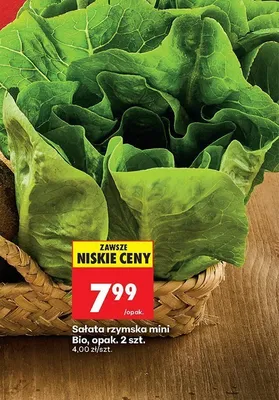 Sałata rzymska mini Bio 2-pak promocja w Biedronka