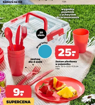 Zestaw piknikowy w pojemniku wym. 23,5x23,5x11,5cm promocja w Netto