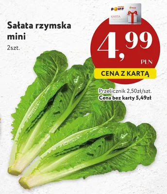 Sałata rzymska czerwona mini promocja w Market Point