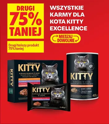 Karma dla kota wszystkie rodzaje promocja w Biedronka