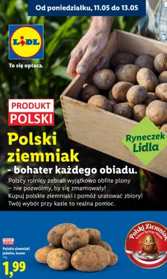 Polskie ziemniaki jadalne promocja w Lidl