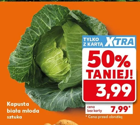 Kapusta biała młoda promocja w Kaufland