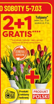 Tulipany bukiet promocja w POLOmarket