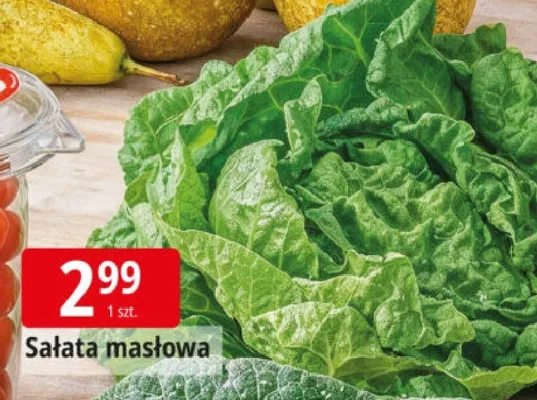 Sałata masłowa promocja w Leclerc