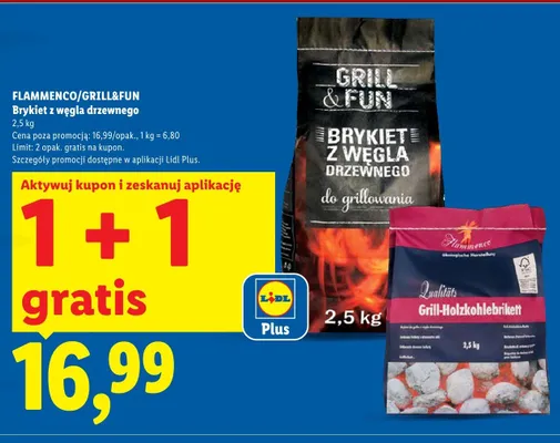 Brykiet z węgla drzewnego Grill&Fun promocja w Lidl