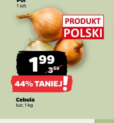 Cebula promocja w Netto