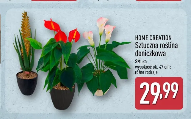 Sztuczna roślina doniczkowa Home Creation promocja w Aldi