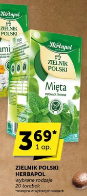 Herbata Zielnik Polski Herbapol Mięta 20 torebek promocja w Groszek