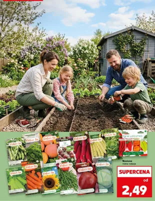 Nasiona różne rodzaje promocja w Kaufland