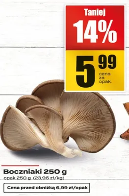 Boczniaki promocja w Supeco