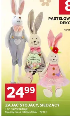 Zając stojący, siedzący promocja w Stokrotka