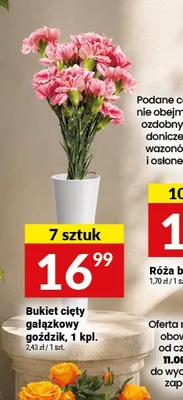 Bukiet cięty gałązkowy goździk 7-pak promocja w Twój Market