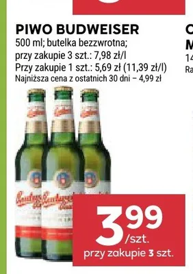 Piwo Budweiser promocja w Stokrotka