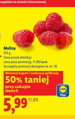 Maliny promocja w Lidl
