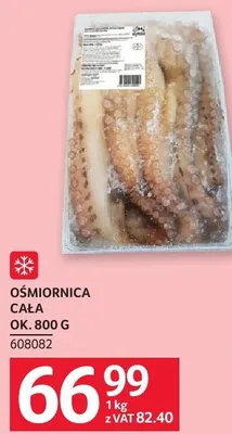 Ośmiornica cała promocja w Selgros
