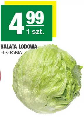 Sałata lodowa promocja w SPAR