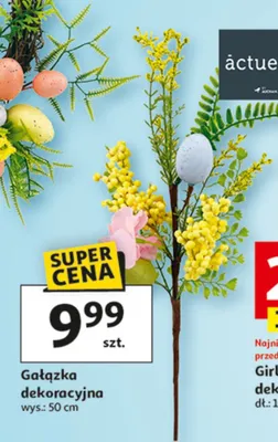 Gałązka dekoracyjna promocja w Auchan