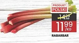 Rabarbar promocja w Wafelek