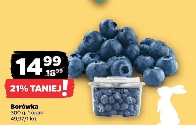 Borówka promocja w Netto