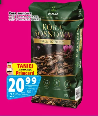 Kora sosnowa Damag promocja w Prim Market