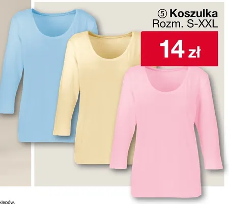 Koszulka damska z długim rękawem Rozm. S-XXL promocja w Woolworth