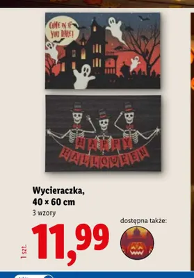 Wycieraczka 40x60 cm promocja w Lidl