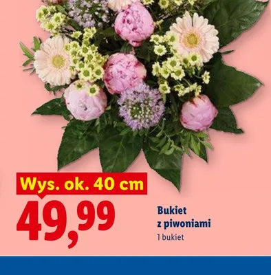 Bukiet z piwoniami wys. ok. 40cm promocja w Lidl
