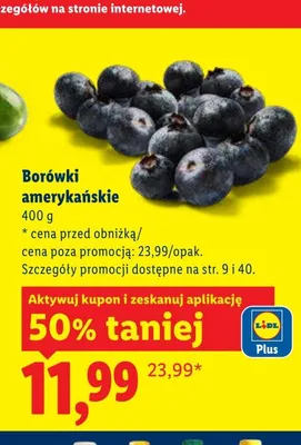 Borówki amerykańskie promocja w Lidl
