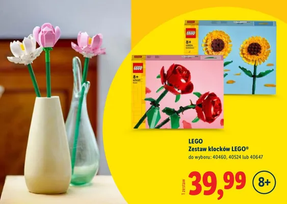 Zestaw klocków promocja w Lidl