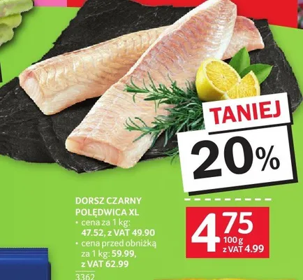 Dorsz czarny polędwica XL promocja w Selgros