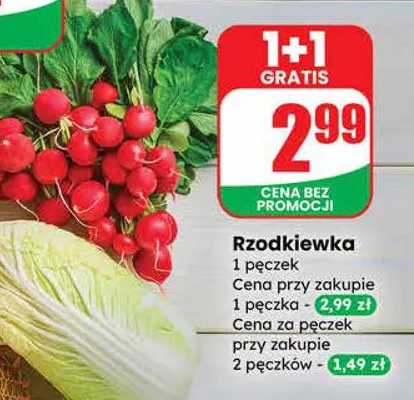 Rzodkiewka promocja w Dino
