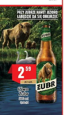 Piwo Żubr promocja w Premium Nasz Sklep