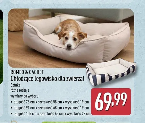 Chłodzące legowisko dla zwierząt ROMEO & CACHET promocja w Aldi