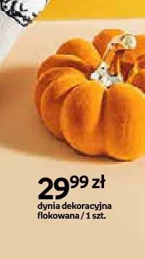 Dynia dekoracyjna flokowana promocja w Empik