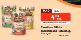 Saszetka dla kota promocja w KAKADU