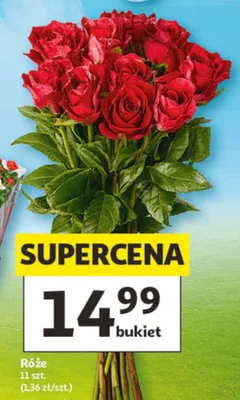 Róże 11szt. promocja w Auchan