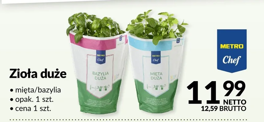 Zioła duże mięta/bazylia promocja w Makro