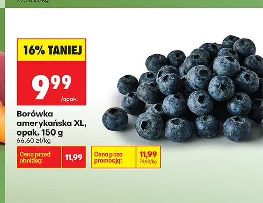Borówka amerykańska XL promocja w Biedronka