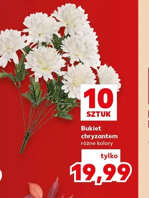Bukiet chryzantem 10 sztuk promocja w Kaufland