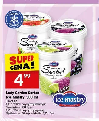 Lody Garden Sorbet Ice-Mastry limonka i jagoda promocja w Twój Market