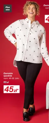 Spodnie damskie rozm. 46-58 promocja w KiK