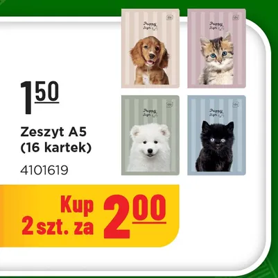 Zeszyt A5 Interdruk 16 kartek promocja w MR. DIY