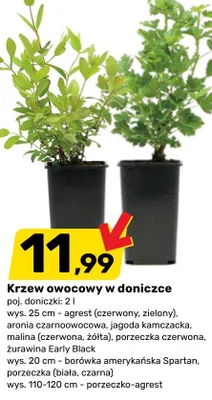 Gazetka, strona 9 promocja w Bricomarche