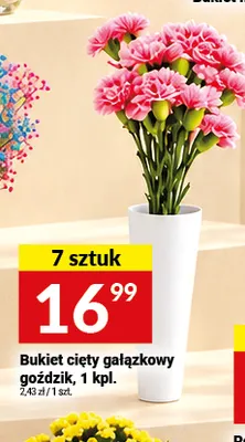 Bukiet cięty gałązkowy goździk promocja w Twój Market
